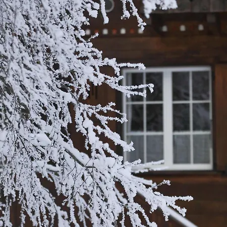 Apartment Wesley House