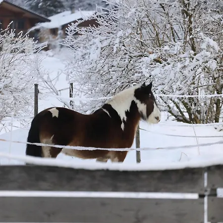 Wesley House Kandersteg