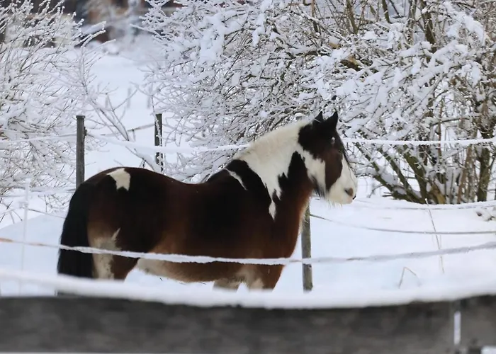 Wesley House Kandersteg